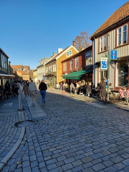 Hidden Gem Near The Old Town Bridge, 40M² Apt. Trondheim Buitenkant foto
